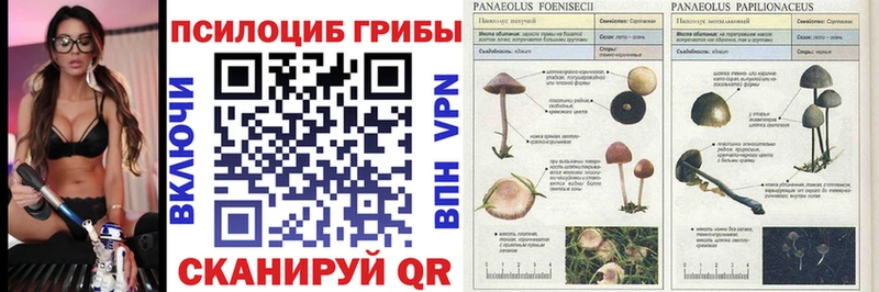 Псилоцибиновые грибы мухоморы Яровое